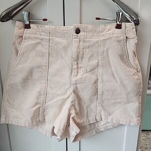 Wild Fable Women's High-Rise Cord Shorts Size M Beige New Corduroy Ivory Color